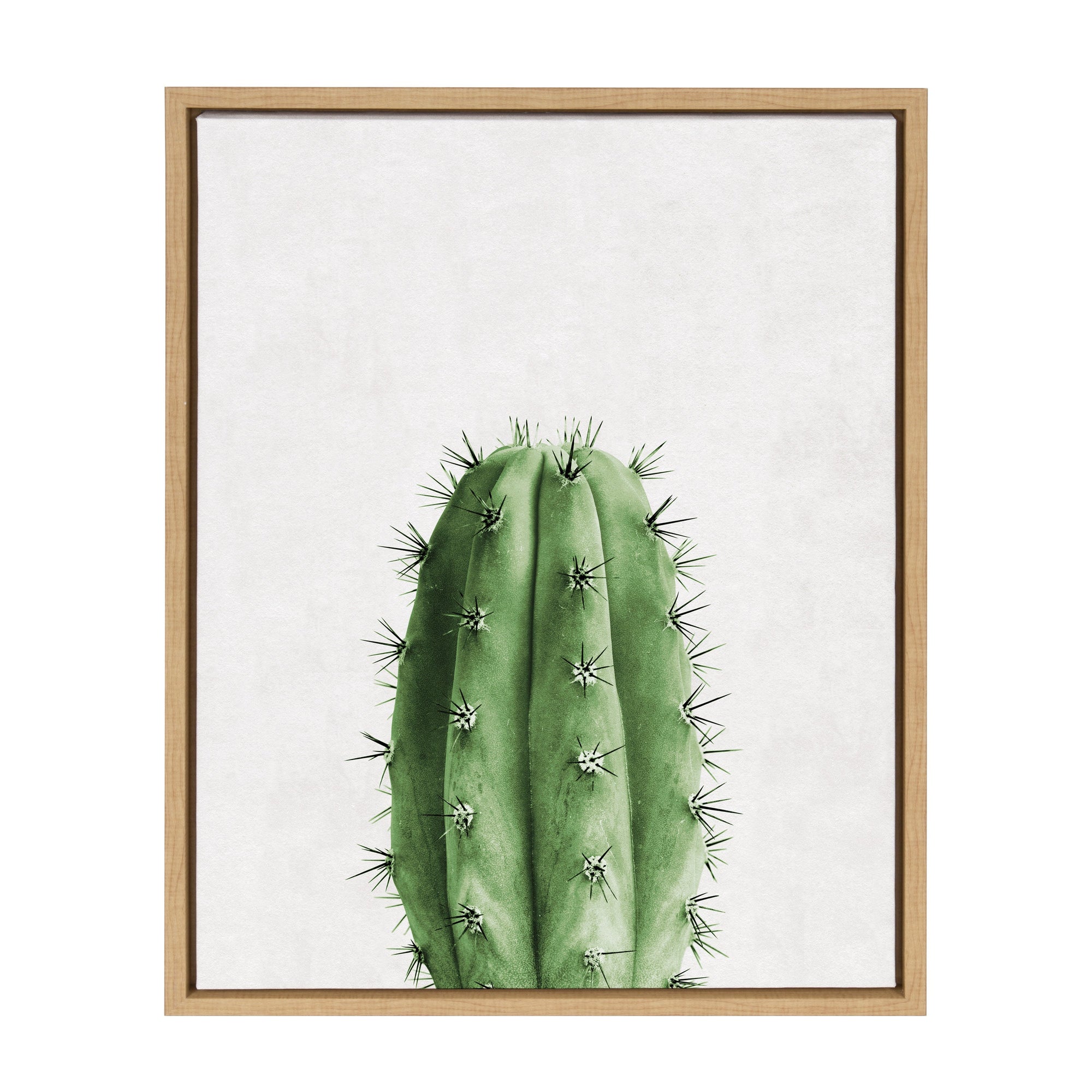 Sylvie Home Cactus Framed Canvas by Simon Te Tai by kateandlaurel - product image 7 for Resin Society