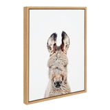 Framed portrait of a gray burro facing forward with large ears and detailed fur against a plain white background.