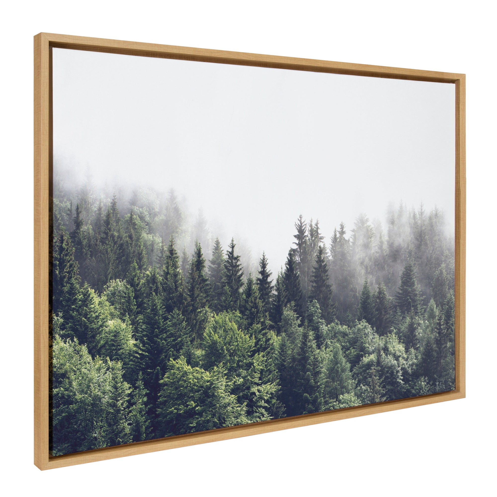 Sylvie Lush Green Forest On A Foggy Day Framed Canvas by kateandlaurel - main product image for Resin Society