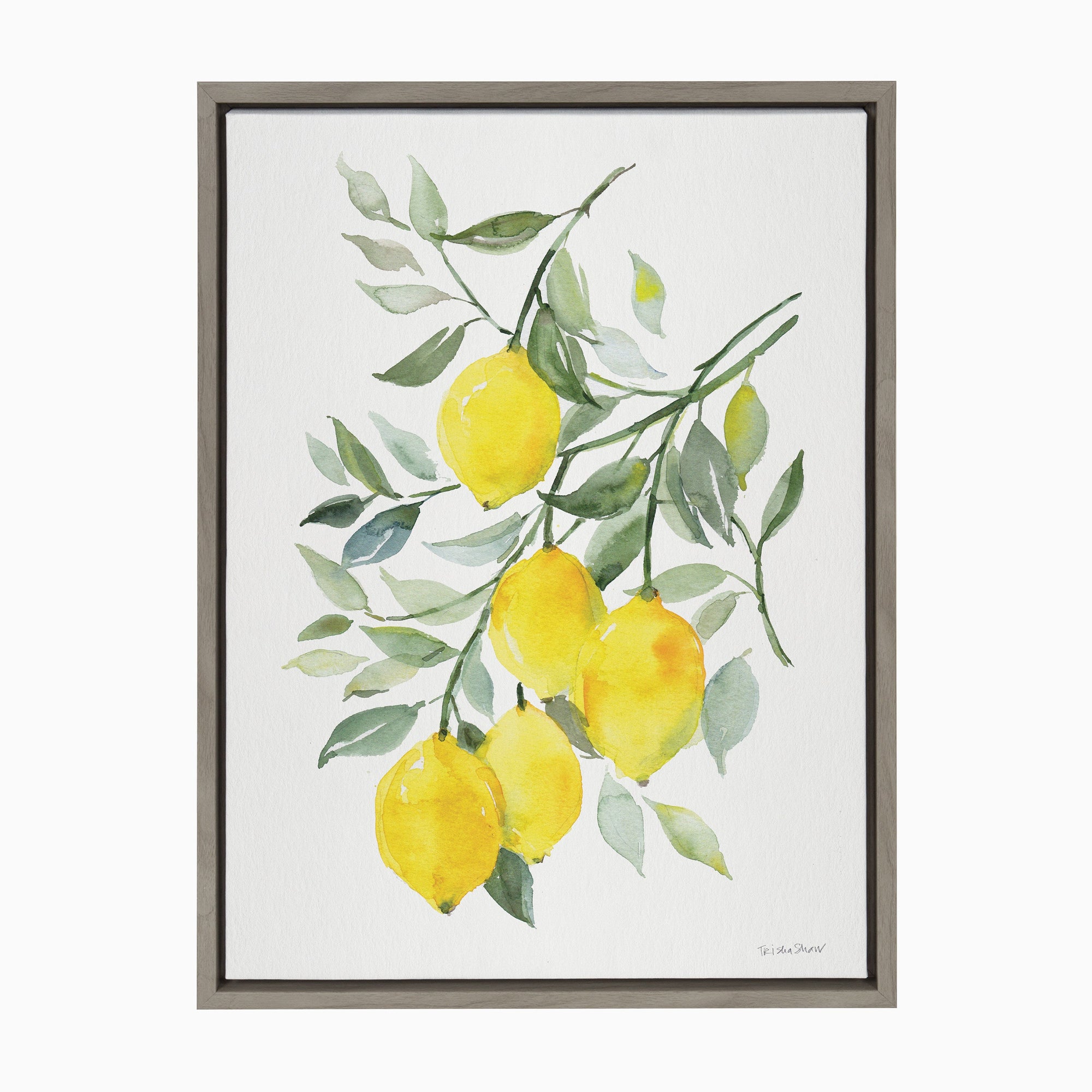 Sylvie Lemon Citrus Framed Canvas by kateandlaurel - product image 10 for Resin Society