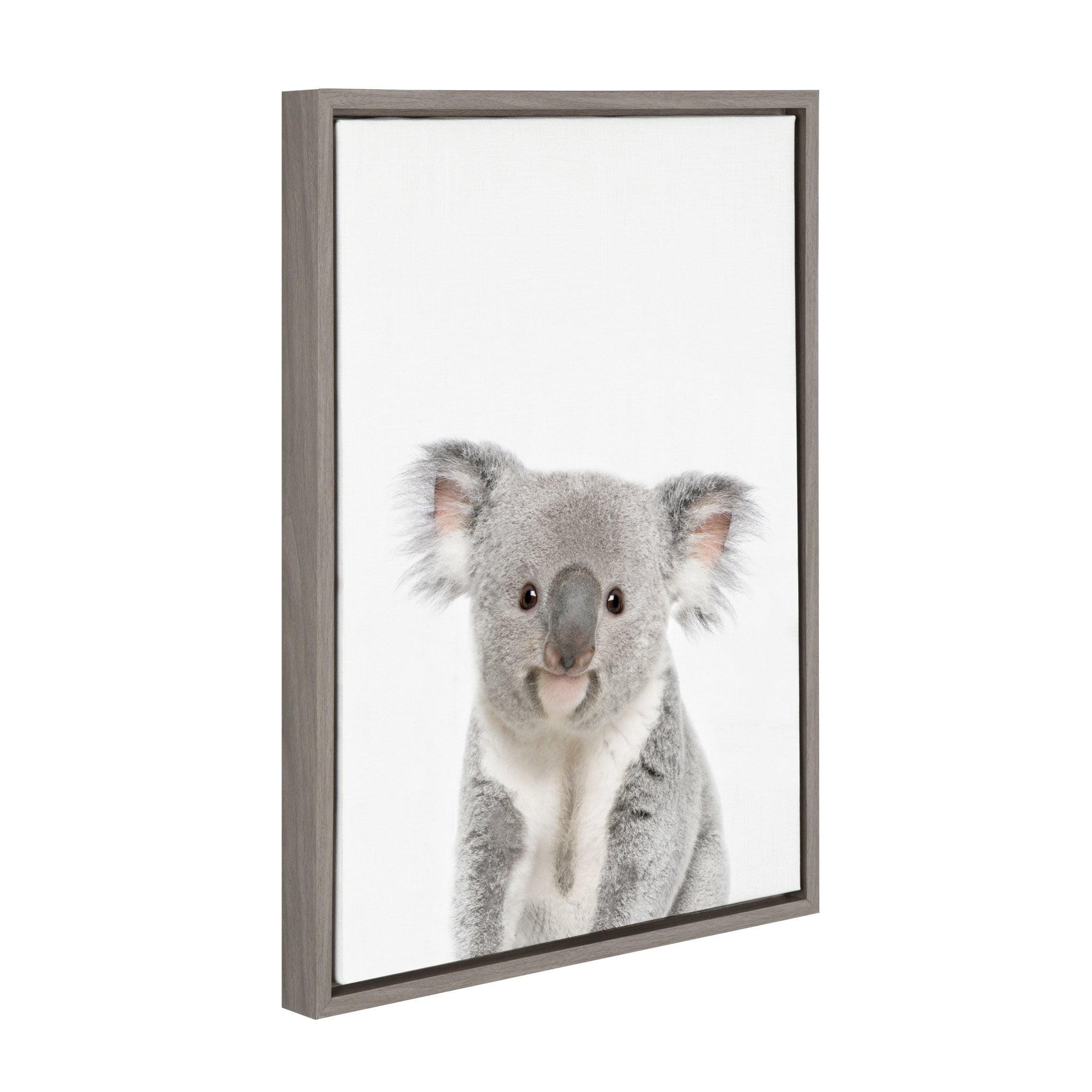 Sylvie Koala Framed Canvas by Amy Peterson Art Studio by kateandlaurel - product image 2 for Resin Society