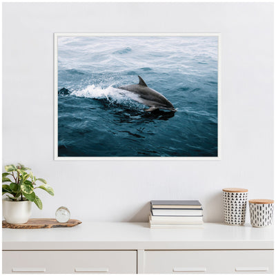 Sylvie Dolphin Skipping along in the Ocean Framed Canvas by Michael Schauer