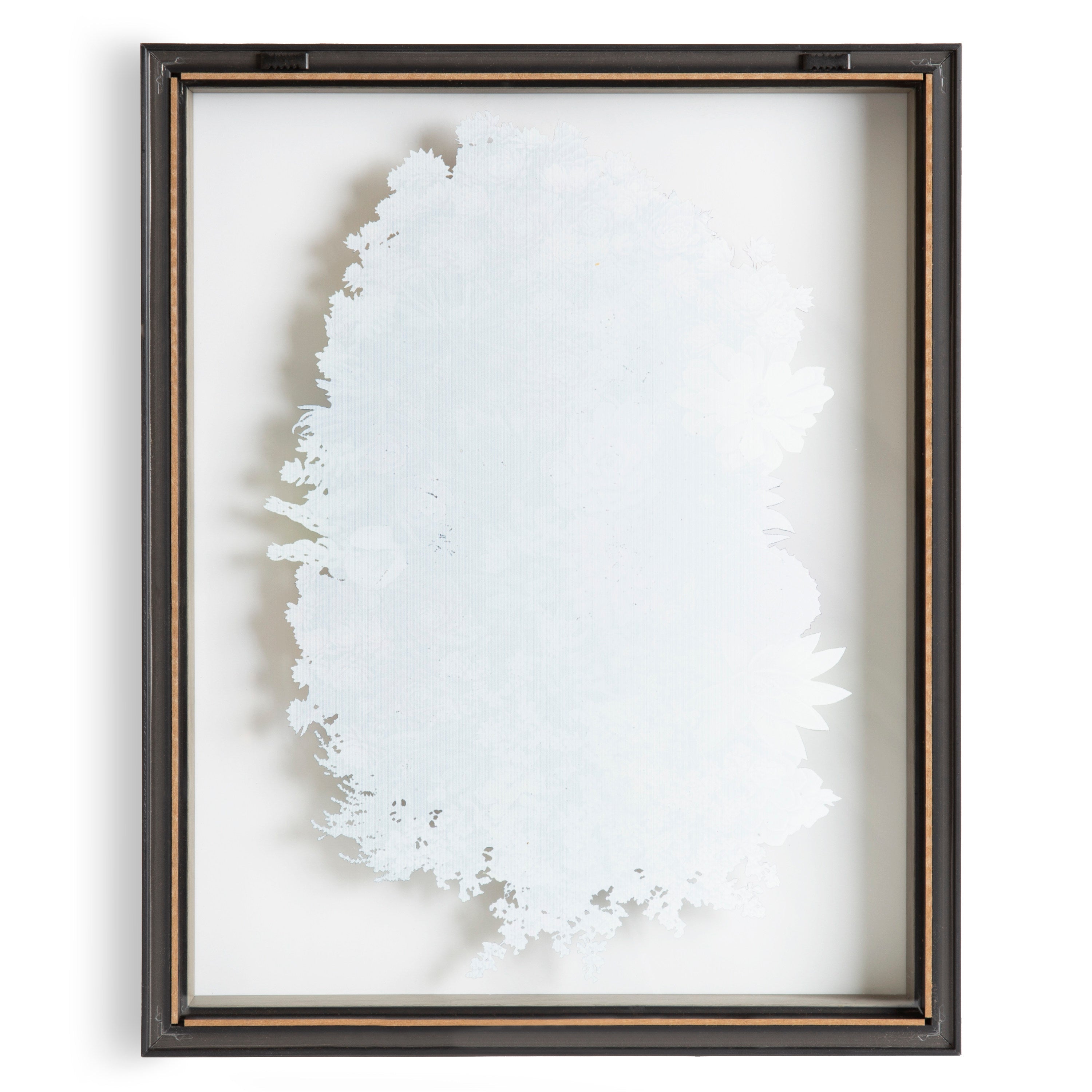 Blake Colony 1 Framed Printed Glass by kateandlaurel - product image 4 for Resin Society