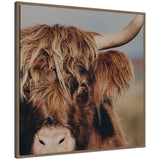 Framed canvas wall art print of a Highland cow close-up with shaggy brown hair and prominent horn, framed in walnut float frame.