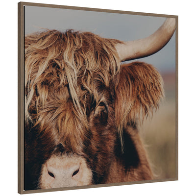 Framed canvas wall art print of a Highland cow close-up with shaggy brown hair and prominent horn, framed in walnut float frame.