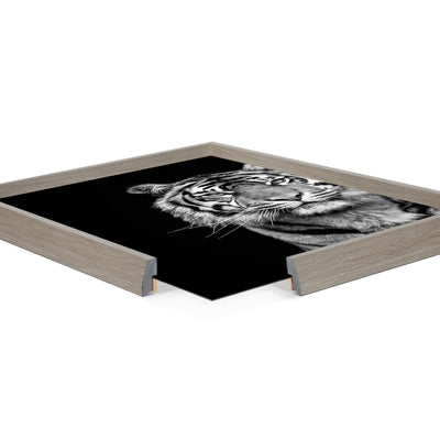 Blake Tiger Minimalist Animal Framed Printed Glass by The Creative Bunch Studio