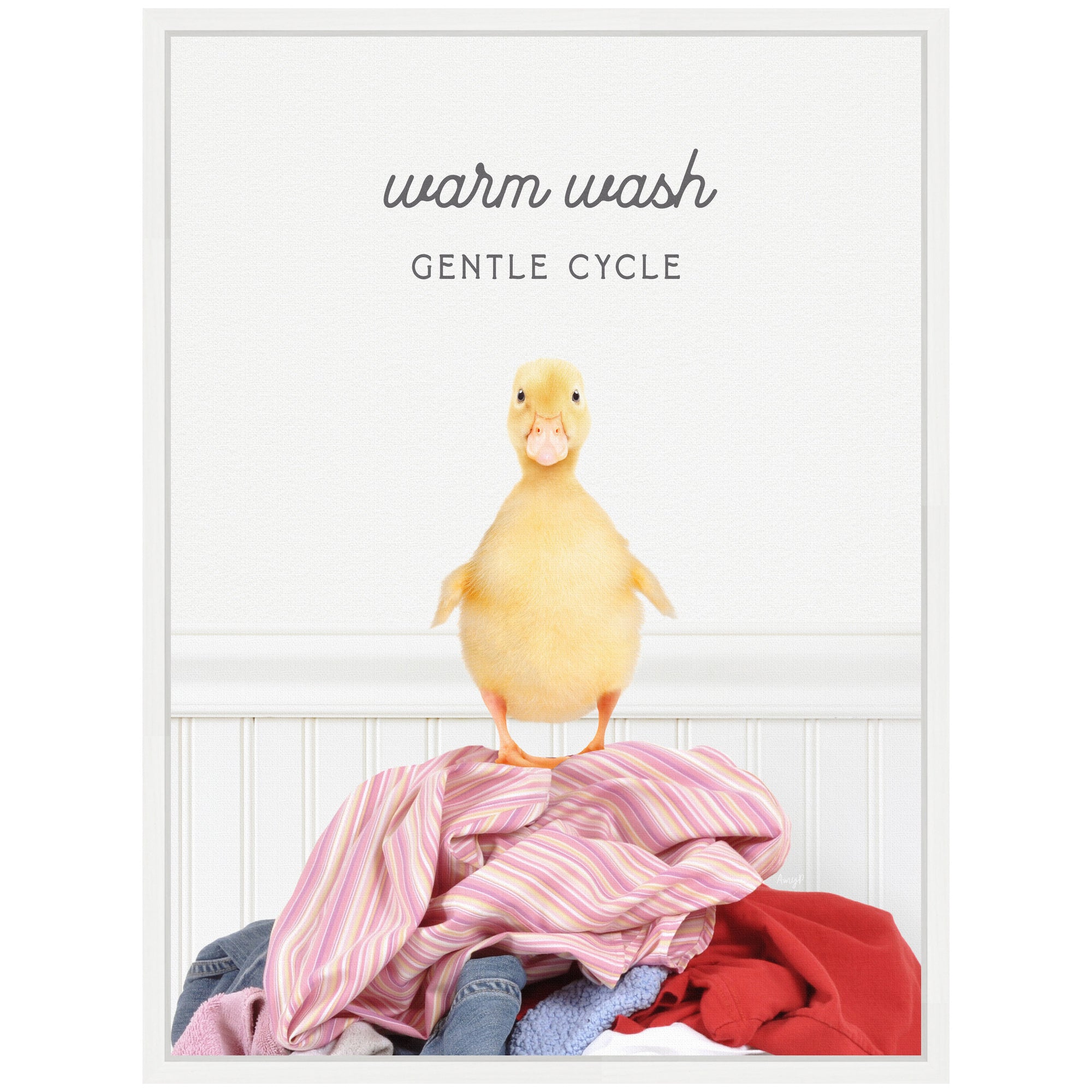 Sylvie Ducky Warm Wash Gentle Cycle Laundry Framed Canvas by Amy Peterson