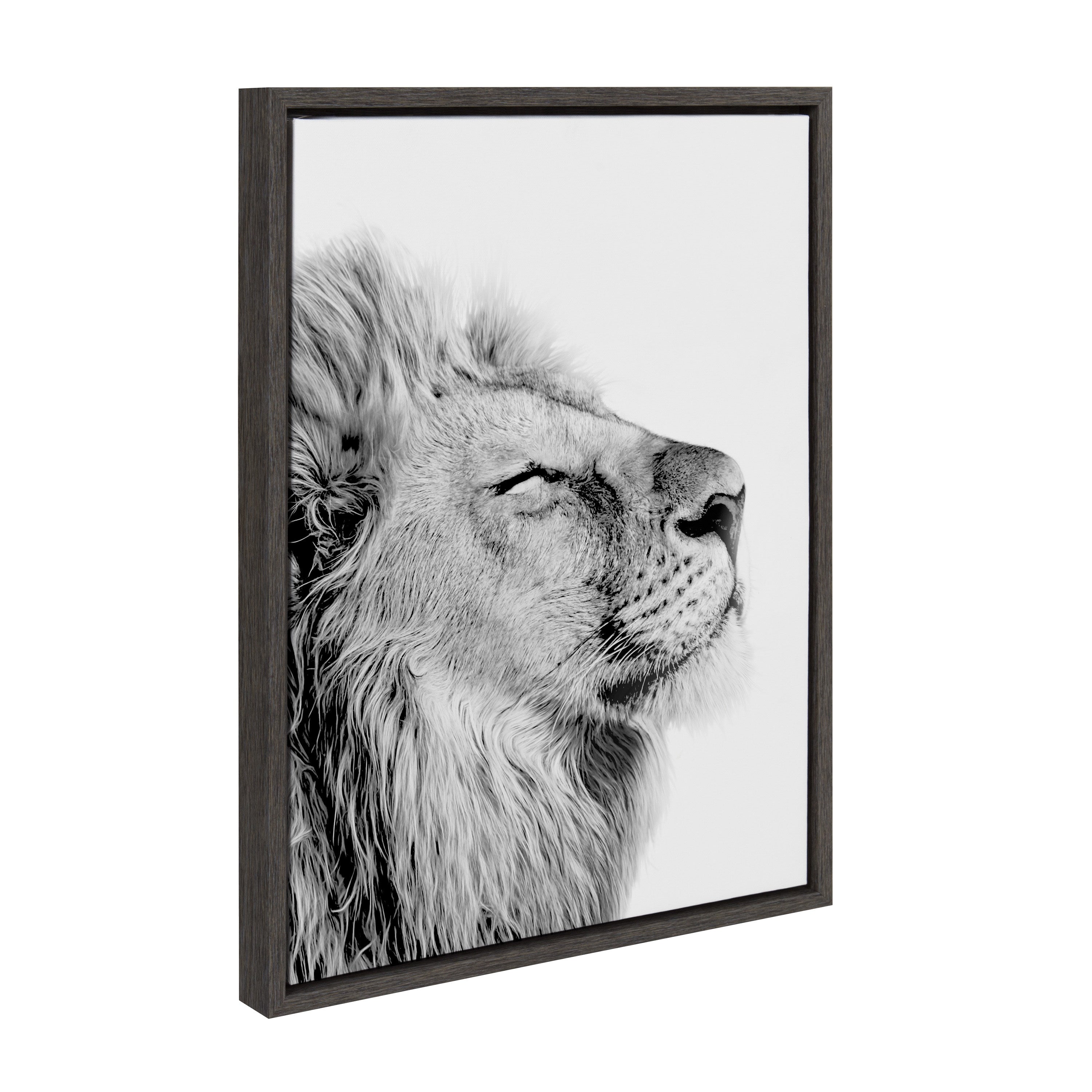 Sylvie Lion Self Actualizing Framed Canvas by kateandlaurel - product image 13 for Resin Society