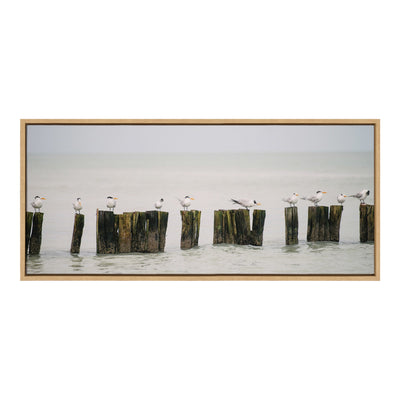 Sylvie Isla Holbox No 13 Framed Canvas by Crystal Lynn Collins