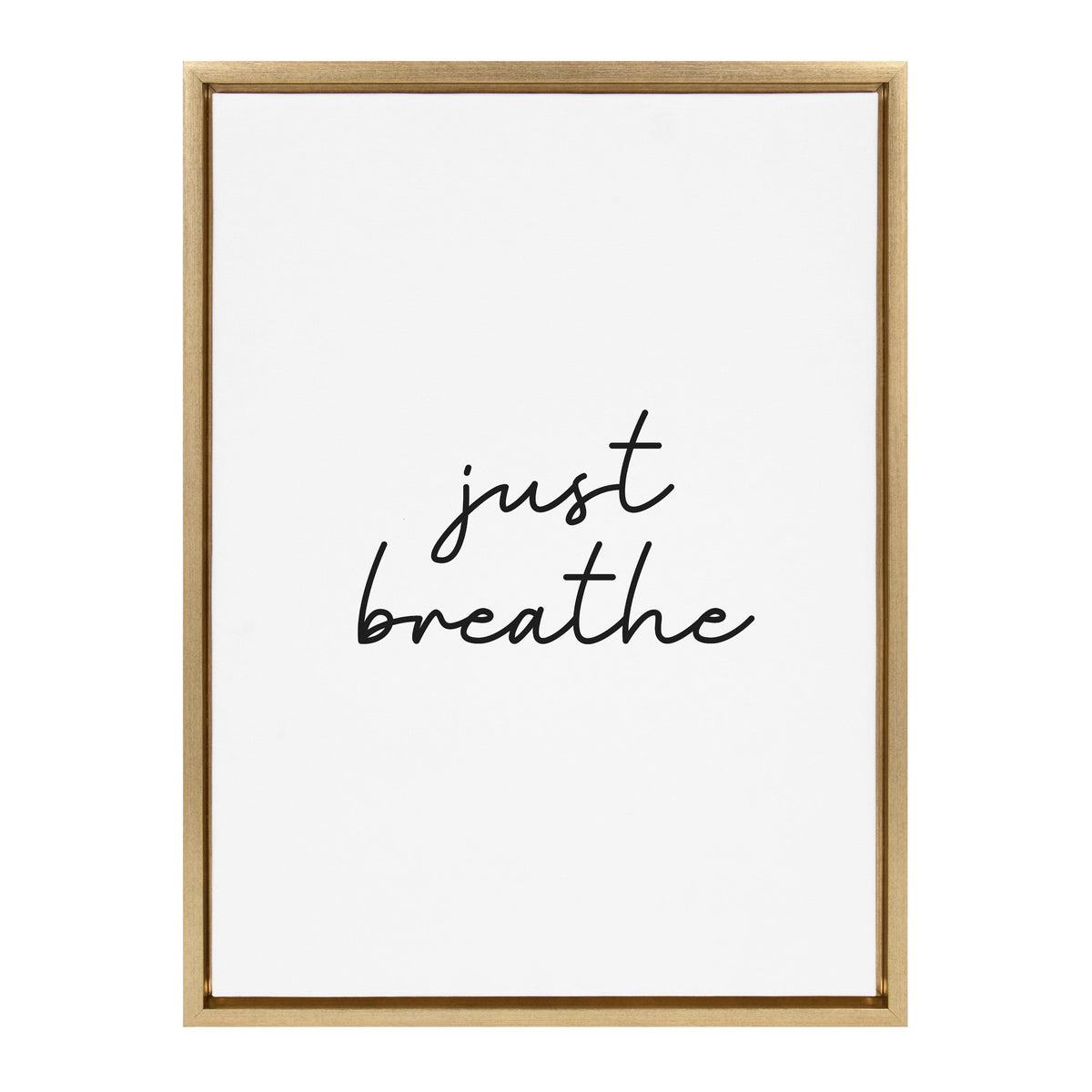 Sylvie Just Breathe BW Framed Canvas by kateandlaurel - product image 2 for Resin Society