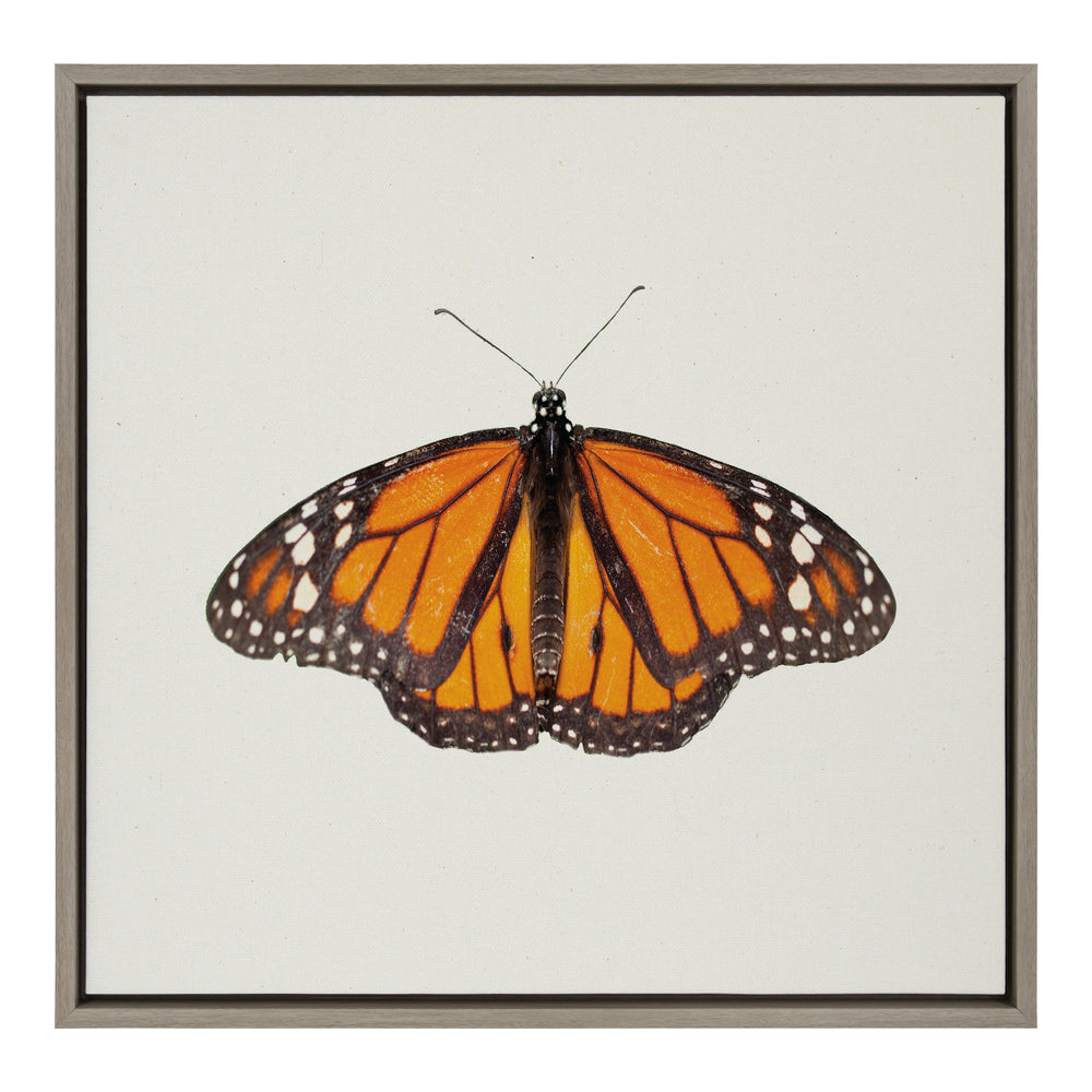 Sylvie Monarch Butterfly Framed Canvas by kateandlaurel - main product image for Resin Society