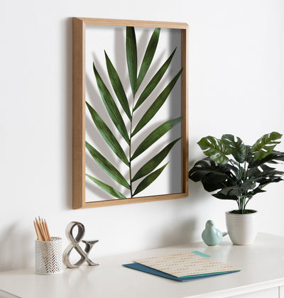 Blake Botanical 5F Framed Printed Glass by Amy Peterson