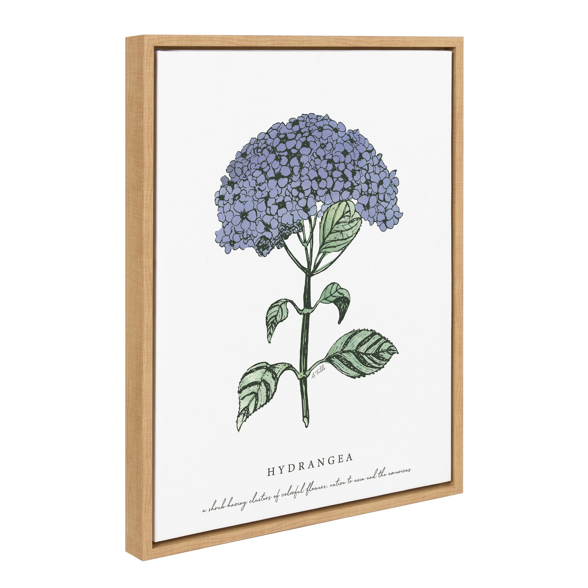 Sylvie Blooming Hydrangea Framed Canvas by kateandlaurel - main product image for Resin Society