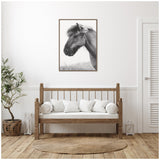 Minimalist room with wooden bench seating and cushions below a framed black-and-white side profile of a horse with a windswept mane against a light background.