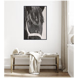 Close-up black and white portrait of a black horse with a white halter, framed and hanging on a white wall above a wooden bench with draped fabric and an open book.