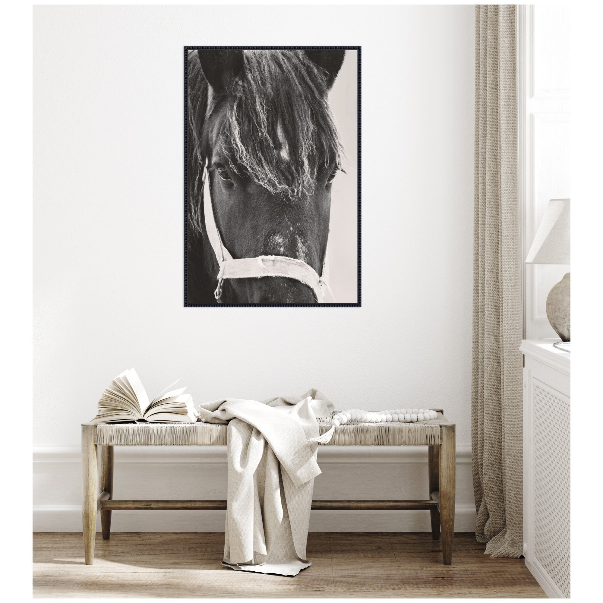 Black Horse by Emiko and Mark Franzen F2 Images Framed Canvas Wall Art Print