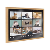 Blake Video Chat Cats Framed Printed Glass by The Creative Bunch Studio by kateandlaurel - main product image for Resin Society