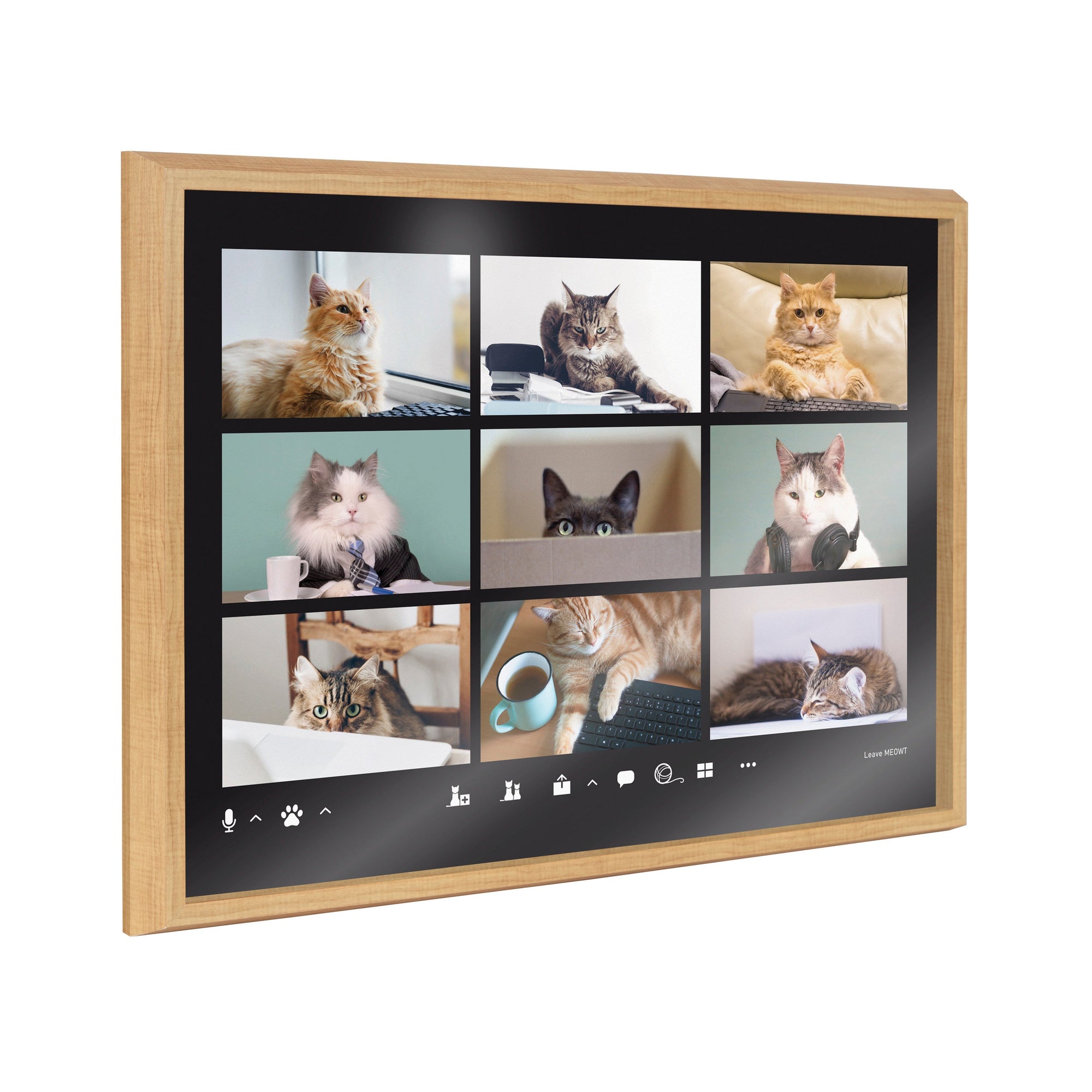 Blake Video Chat Cats Framed Printed Glass by The Creative Bunch Studio by kateandlaurel - main product image for Resin Society
