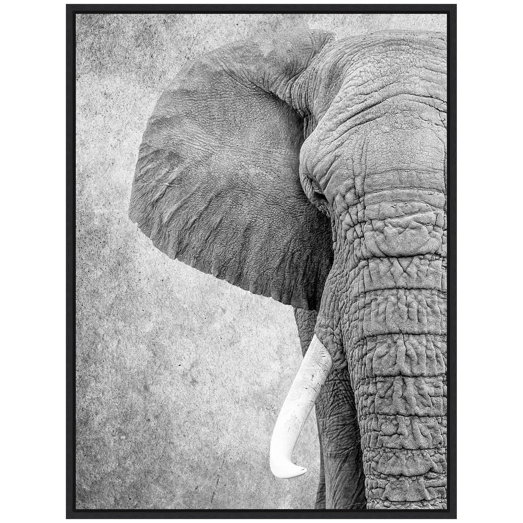 Sylvie Black and White Minimalist Safari Elephant Framed Canvas by kateandlaurel - product image 5 for Resin Society