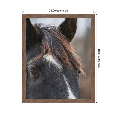 Black and White Horse by Emiko and Mark Franzen F2 Images Framed Wall Art Print
