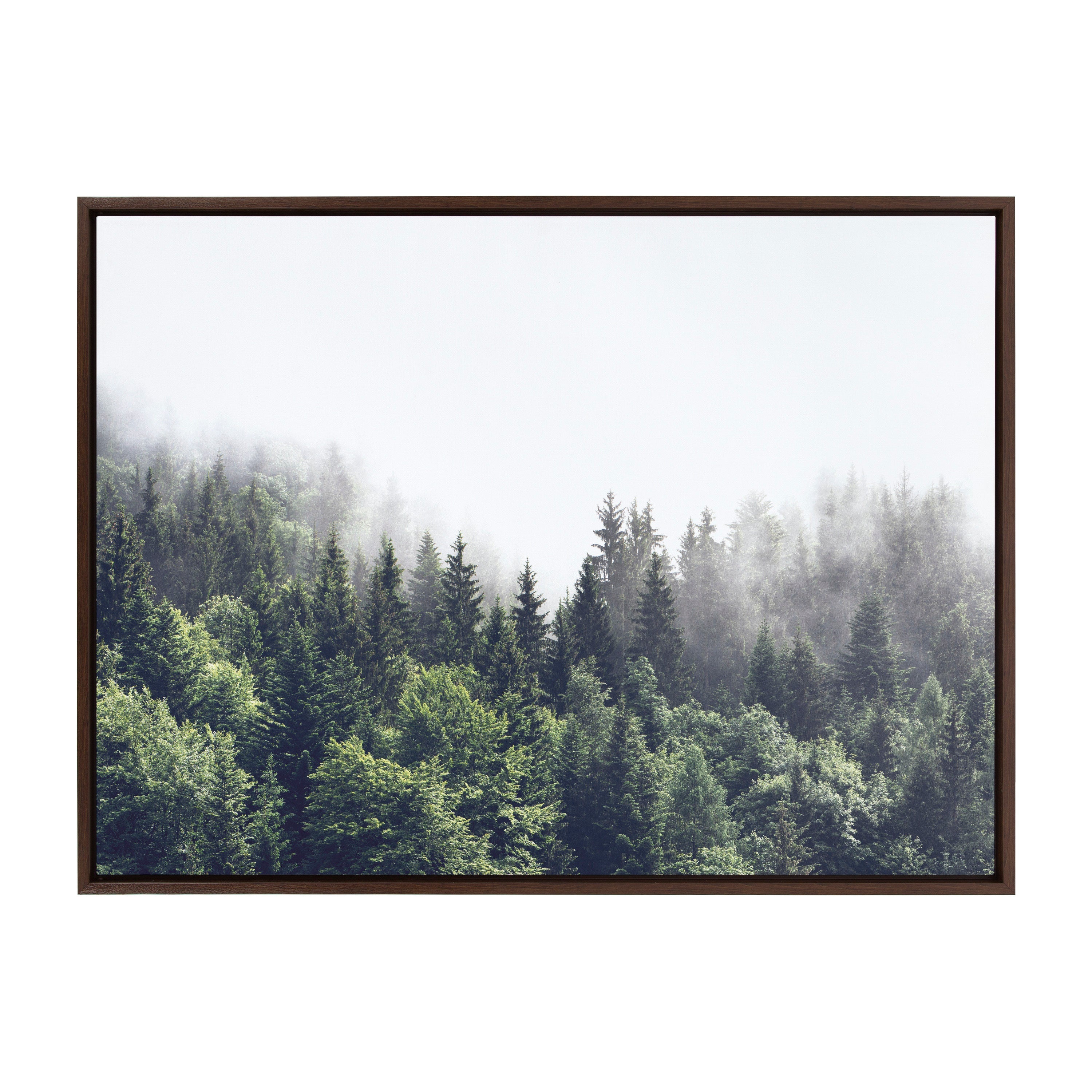 Sylvie Lush Green Forest On A Foggy Day Framed Canvas