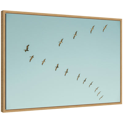 Framed canvas art titled 'Sylvie Pelican Row #1' by Alicia Bock showing pelicans lined on a row over water