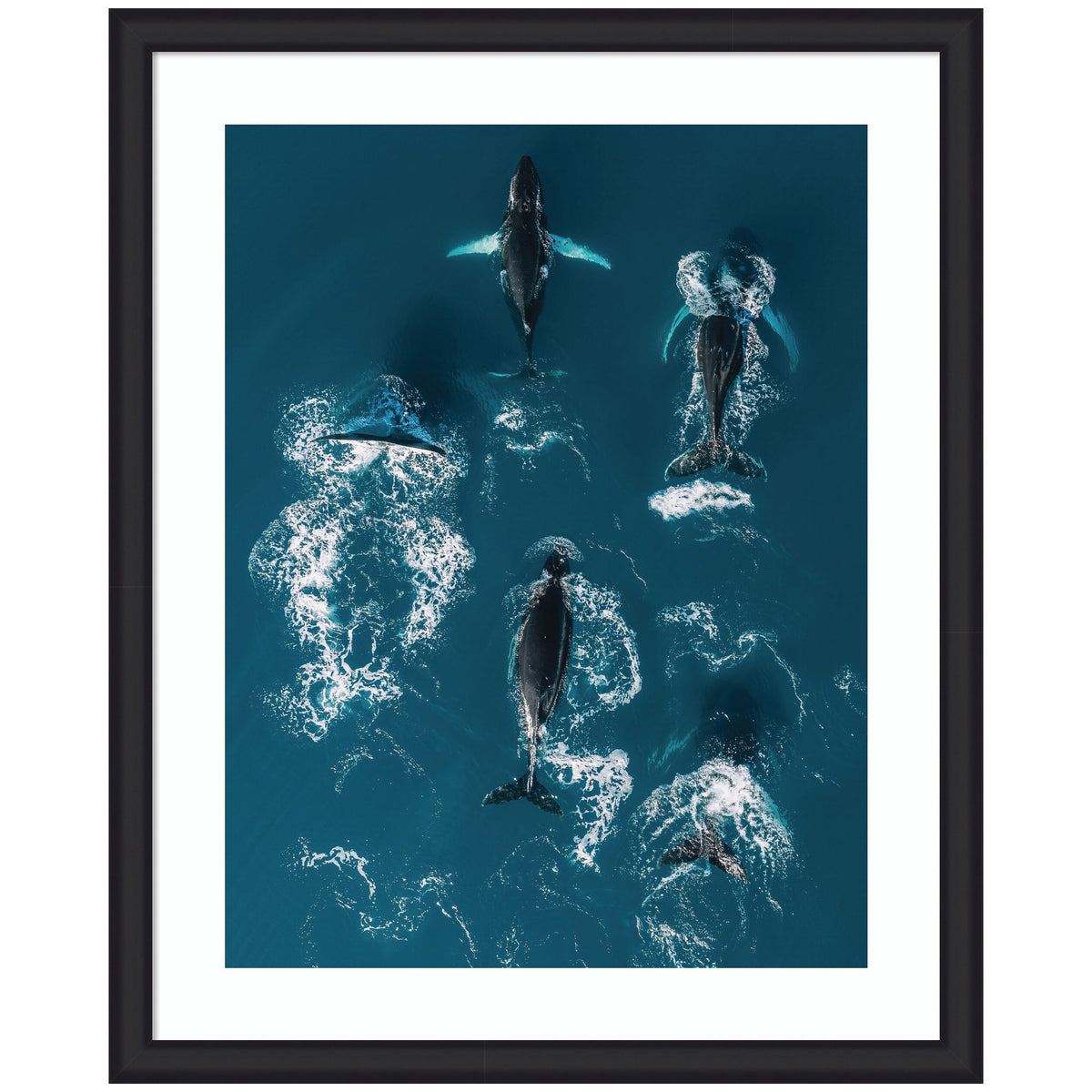 Aerial view of five humpback whales swimming together in deep blue ocean water, with white splashes tracing their movement beneath the surface.