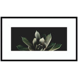 Salutation framed wall art print by Emiko and Mark Franzen in black moulding, hanging on a wall