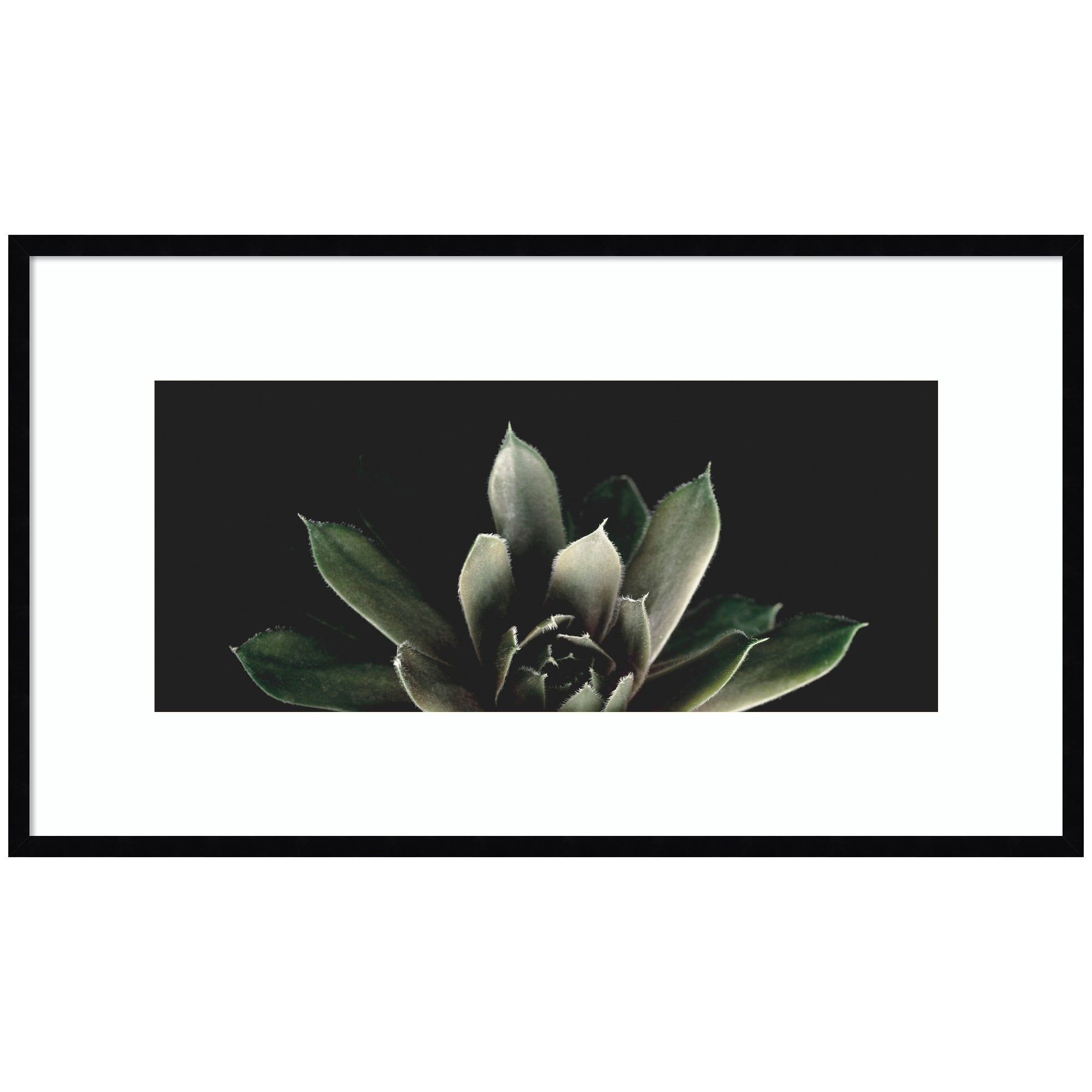 Salutation framed wall art print by Emiko and Mark Franzen in black moulding, hanging on a wall