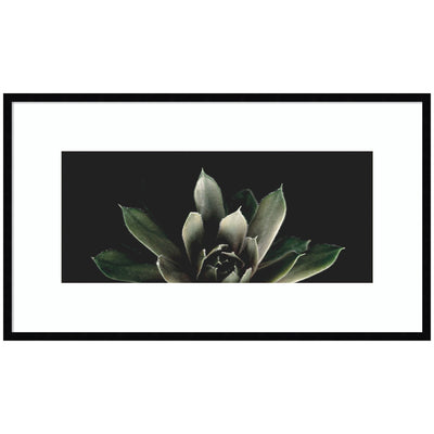 Salutation framed wall art print by Emiko and Mark Franzen in black moulding, hanging on a wall