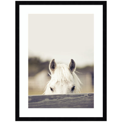 Framed wall art print titled 'Equine Crop' by Robert Cadloff, showing an equestrian crop and saddle detail set in a clean frame.