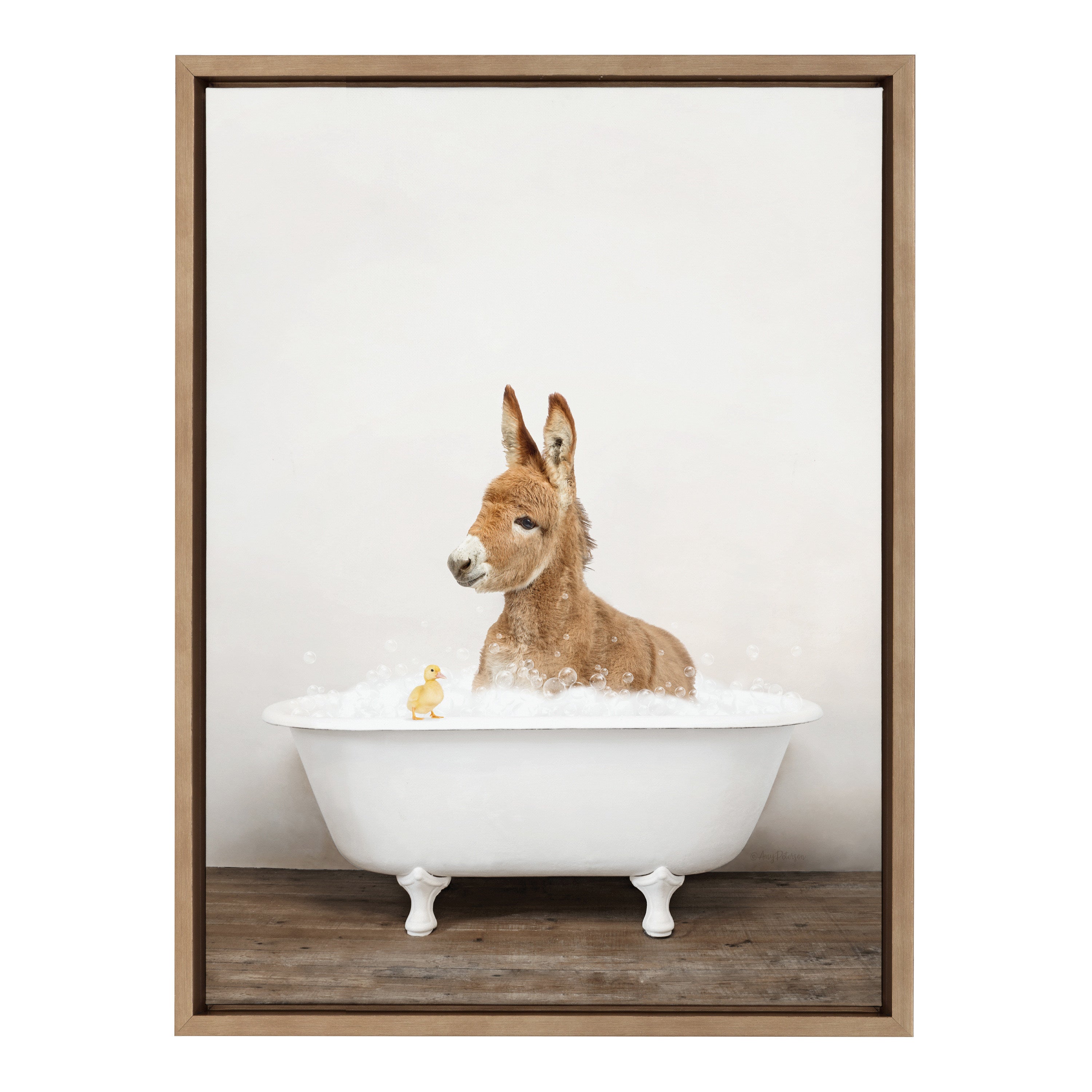 Sylvie Baby Donkey in Rustic Bath Framed Canvas by Amy Peterson Art Studio