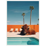 A large brown bison resting on a white pool deck beside a turquoise swimming pool against an orange wall with two tall palm trees and a clear blue sky overhead.