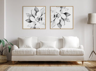 Sylvie Succulent Framed Canvas by Simon Te of Tai Prints