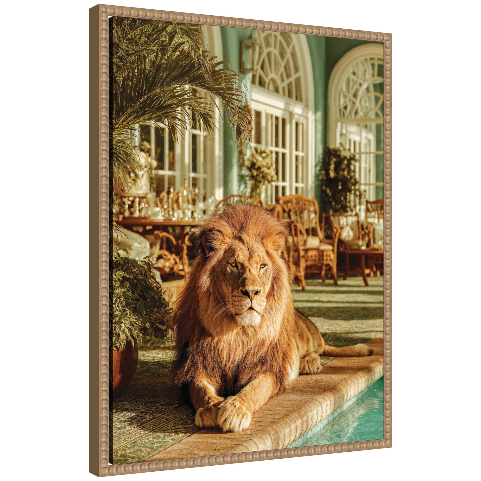 Majestic Lion by the Pool framed canvas wall art print by Michael Schauer showing a lion beside a pool in a rustic natural beaded frame