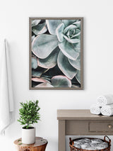 Blake Botanical Succulent Plants 2 Framed Printed Glass by The Creative by kateandlaurel - product image 7 for Resin Society