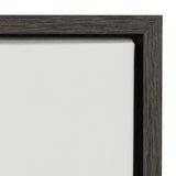 Sylvie Haze Succulent Cactus Short Framed Canvas by kateandlaurel - product image 12 for Resin Society