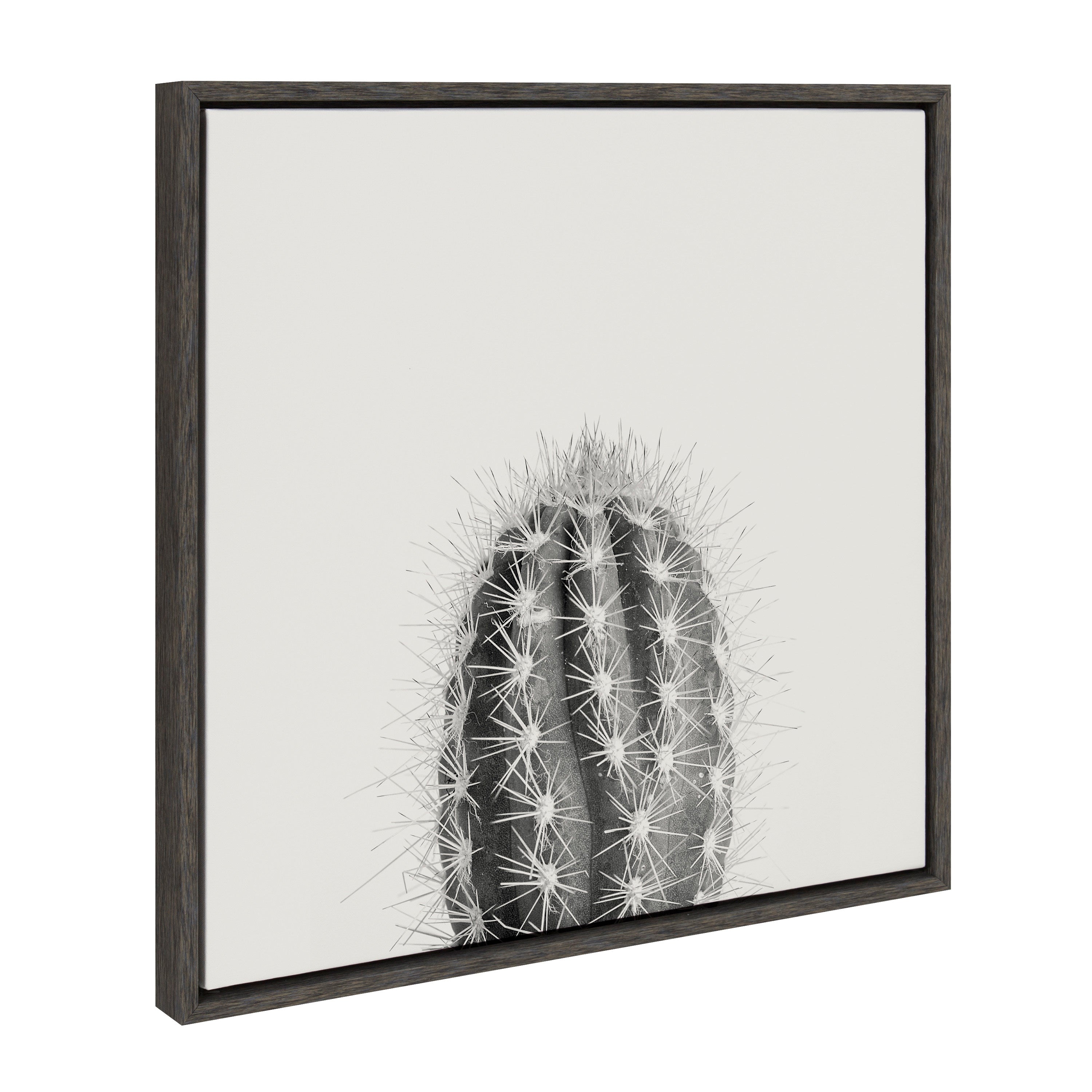 Sylvie Haze Cactus Succulent Tall Framed Canvas by kateandlaurel - product image 19 for Resin Society