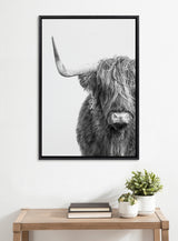 Black and white framed canvas of a Highland cow with long shaggy fur and one visible horn, hanging above a wooden table with stacked books and potted plants.