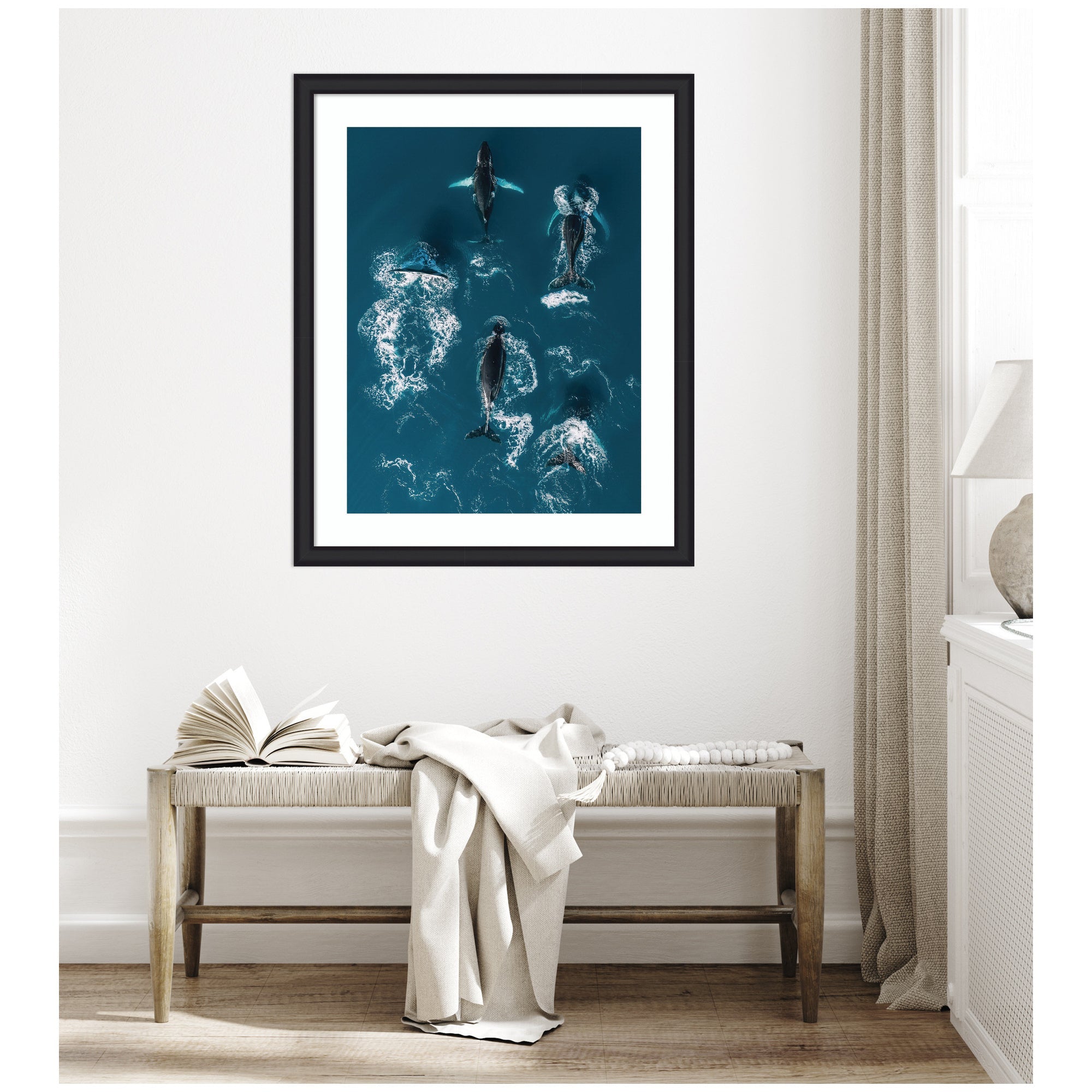 Framed Art School of Humpback Whales in the Blue Ocean by Michael Schauer