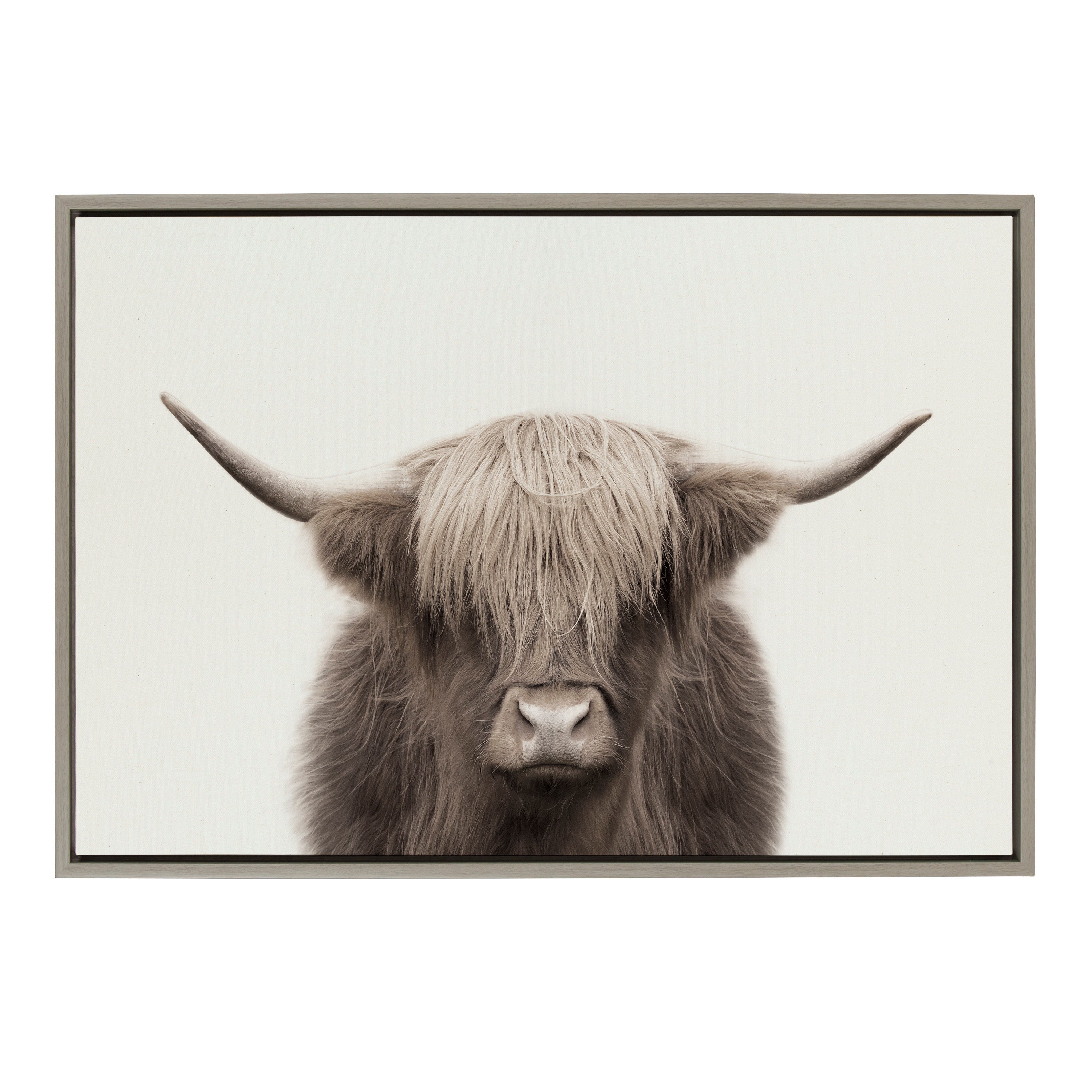 Sylvie Hey Dude Highland Cow Color Framed Canvas by The Creative Bunch