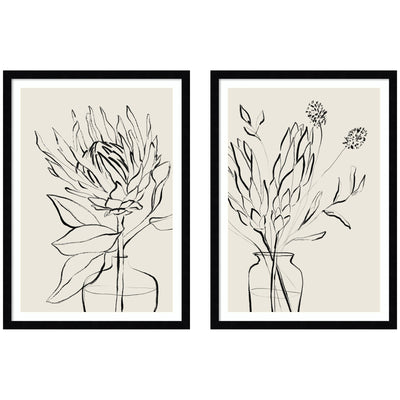 Two framed botanical sketches of protea flowers by Sara Berrenson, set side-by-side.