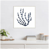 Framed botanical wall art featuring a minimalist dark blue seaweed illustration on white background above a white shelf with green potted plant and stacked books.