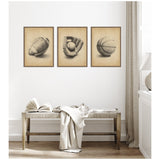 Three framed sepia-toned canvases showing an antique football, a baseball glove with ball, and a basketball above a wooden bench with a draped white cloth in a neutral-toned room.