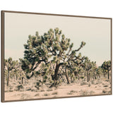 Framed canvas wall art titled Joshua Tree No.
1 by Alicia Bock showing a cluster of Joshua trees silhouetted against a desert landscape in walnut woodgrain frame