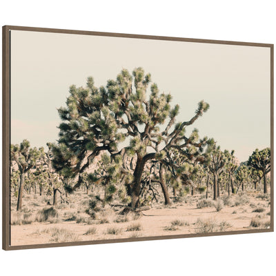 Framed canvas wall art titled Joshua Tree No.
1 by Alicia Bock showing a cluster of Joshua trees silhouetted against a desert landscape in walnut woodgrain frame