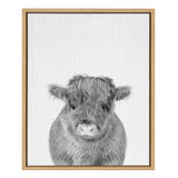 Framed monochrome canvas print of a young fluffy Highland calf facing forward with detailed fur texture on a plain white background.