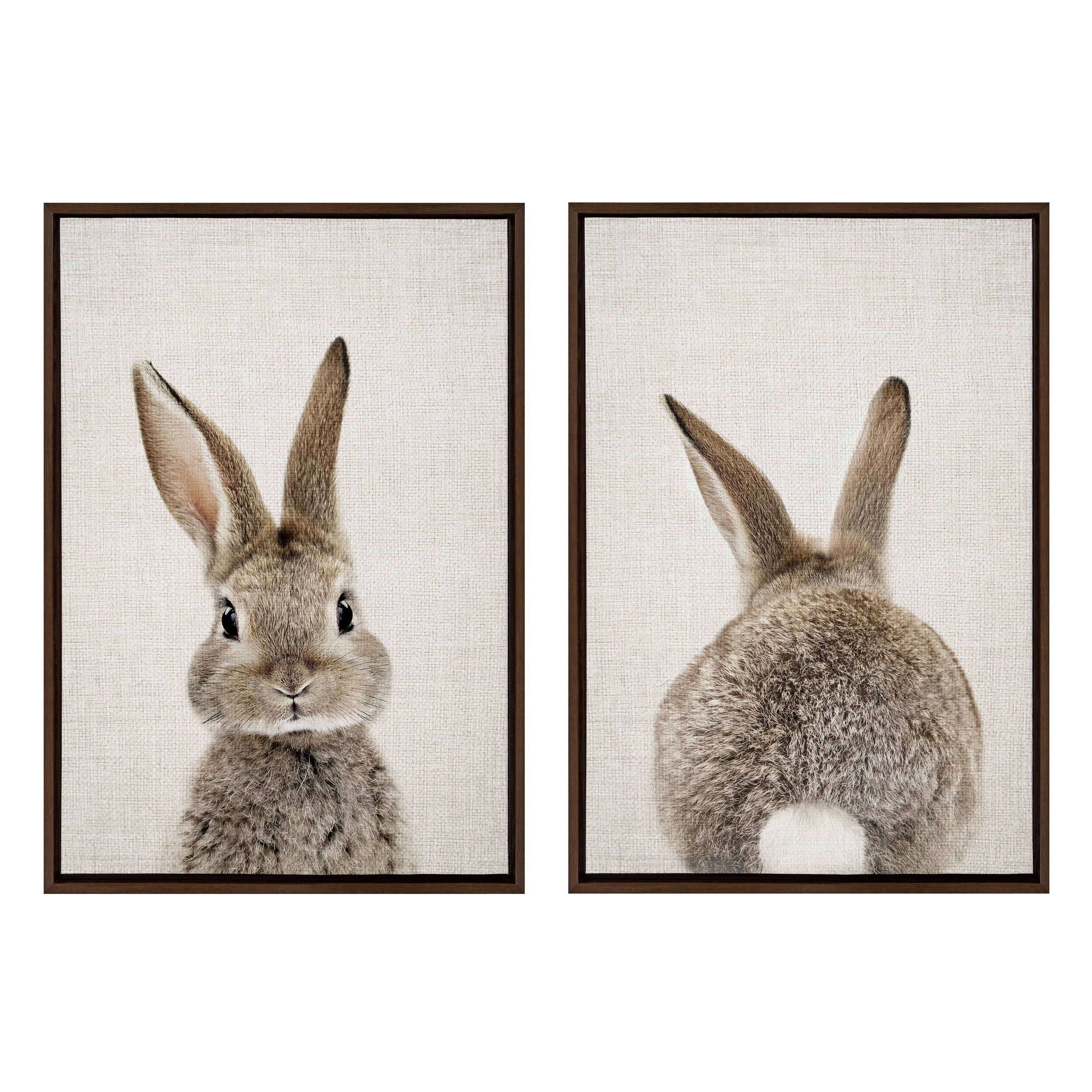 Sylvie Bunny Portrait and Bunny Tail Framed Canvas Art Set by Amy Peterson Art Studio