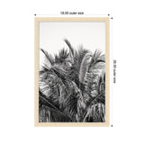 Black and white photograph of dense palm tree fronds with intricate texture framed in light wood, shown within a frame sized 18 by 26 inches.