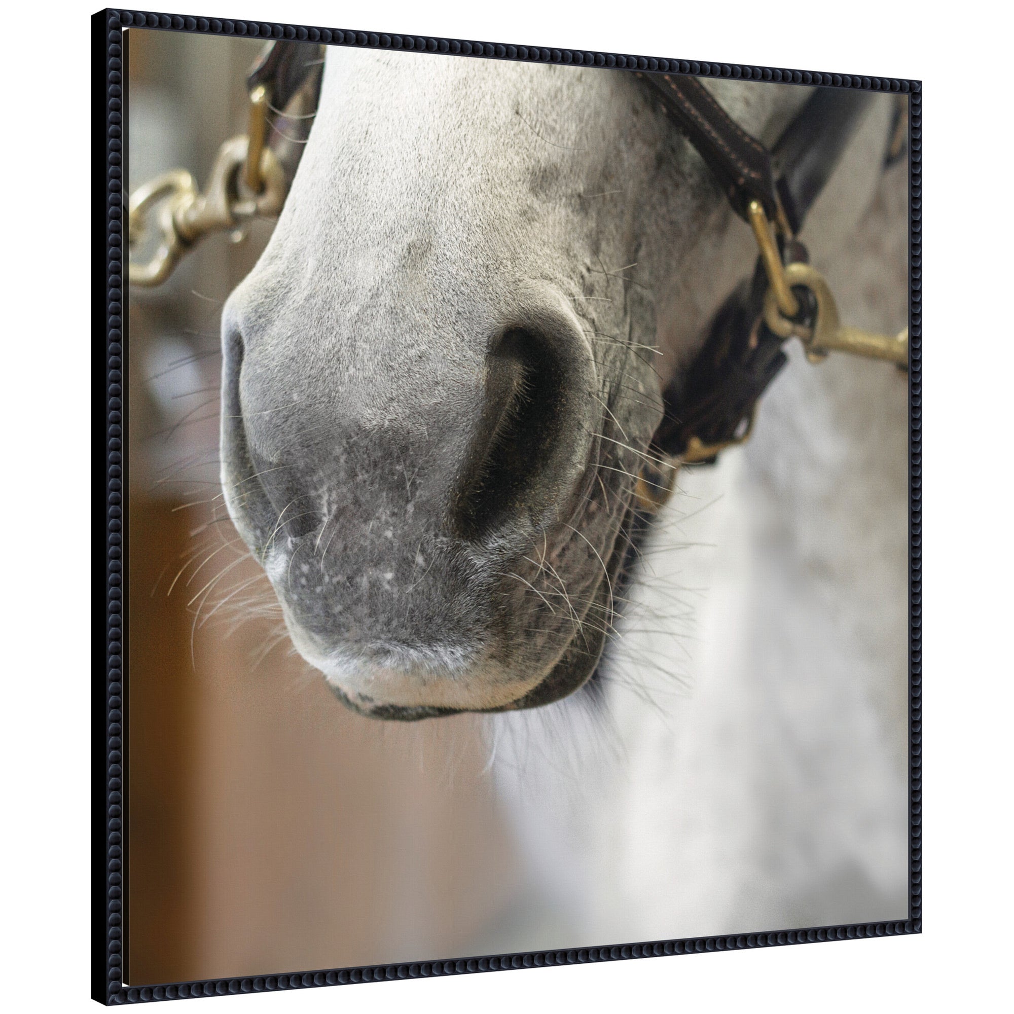 Framed canvas wall art titled Barn Day Horse showing a horse in a barn setting, framed in Sylvie Beaded frame.
